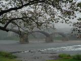 C Chûgoku 026 Iwakuni le pont Kintai