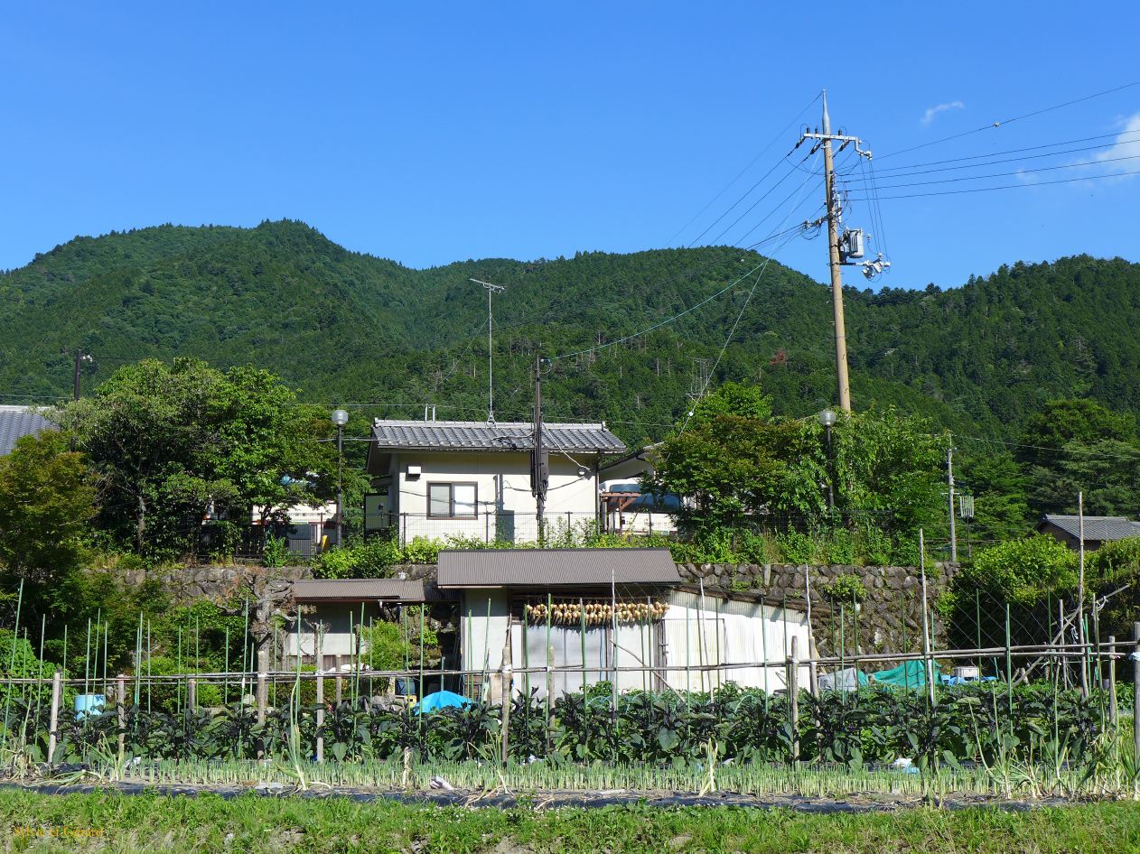 F Ohara le village 18 