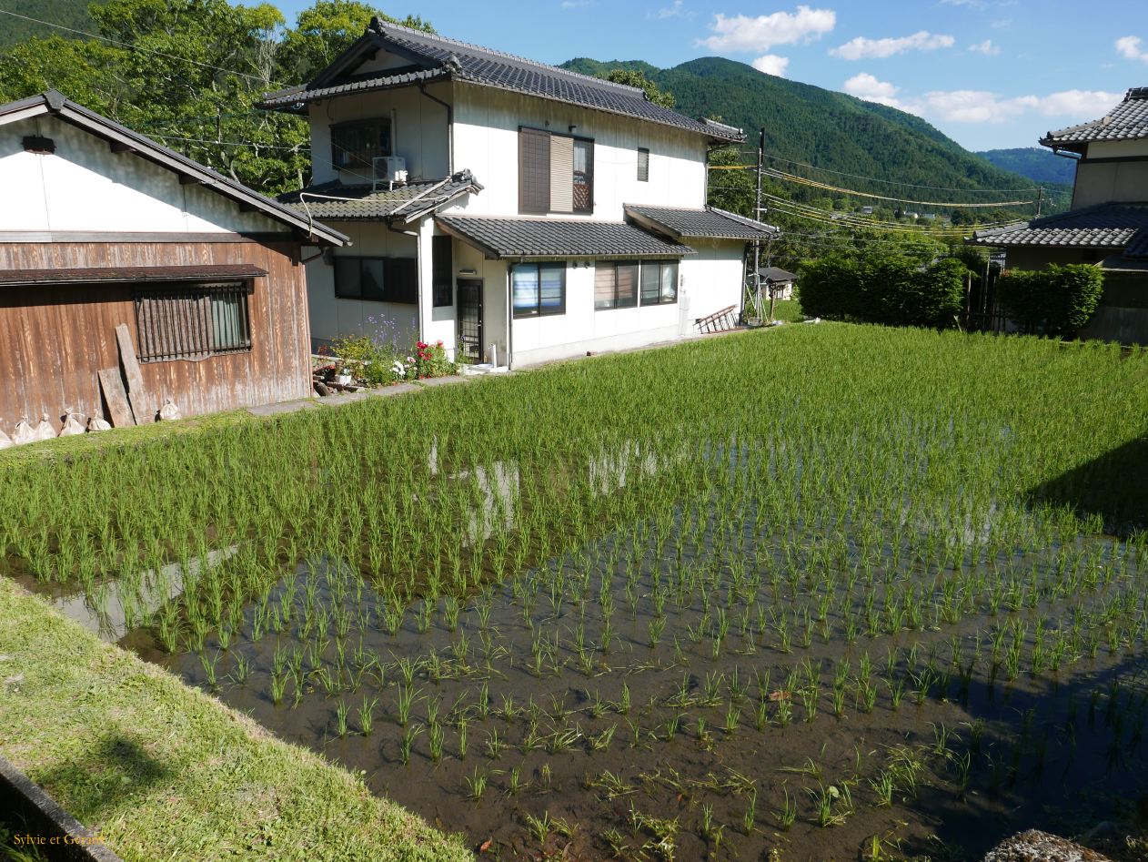 F Ohara le village 22 