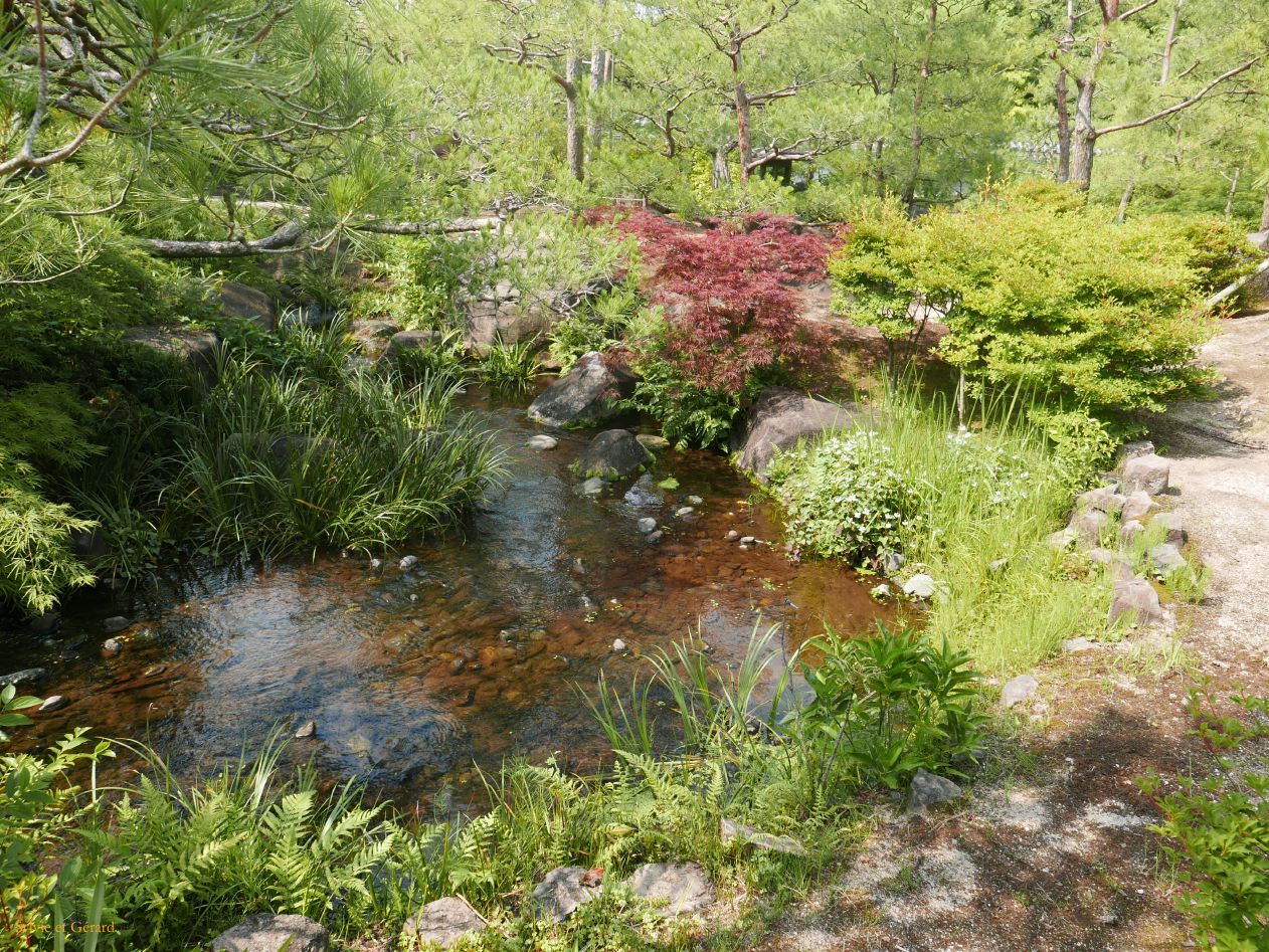 G Himeji 14 le jardin Koko En 