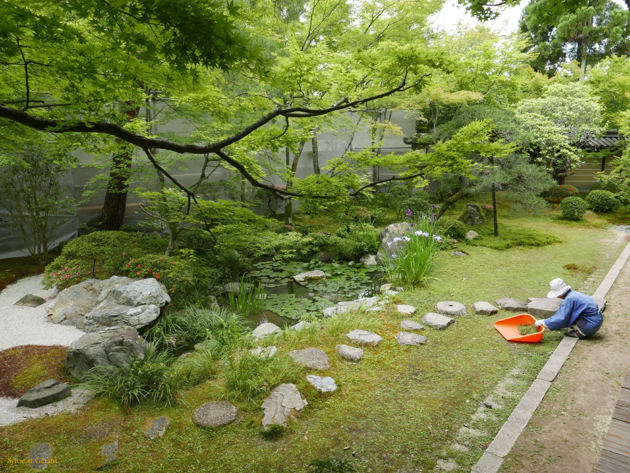 A Kyoto 15 chemin de la Philosophie Eikando Zenri Ji 