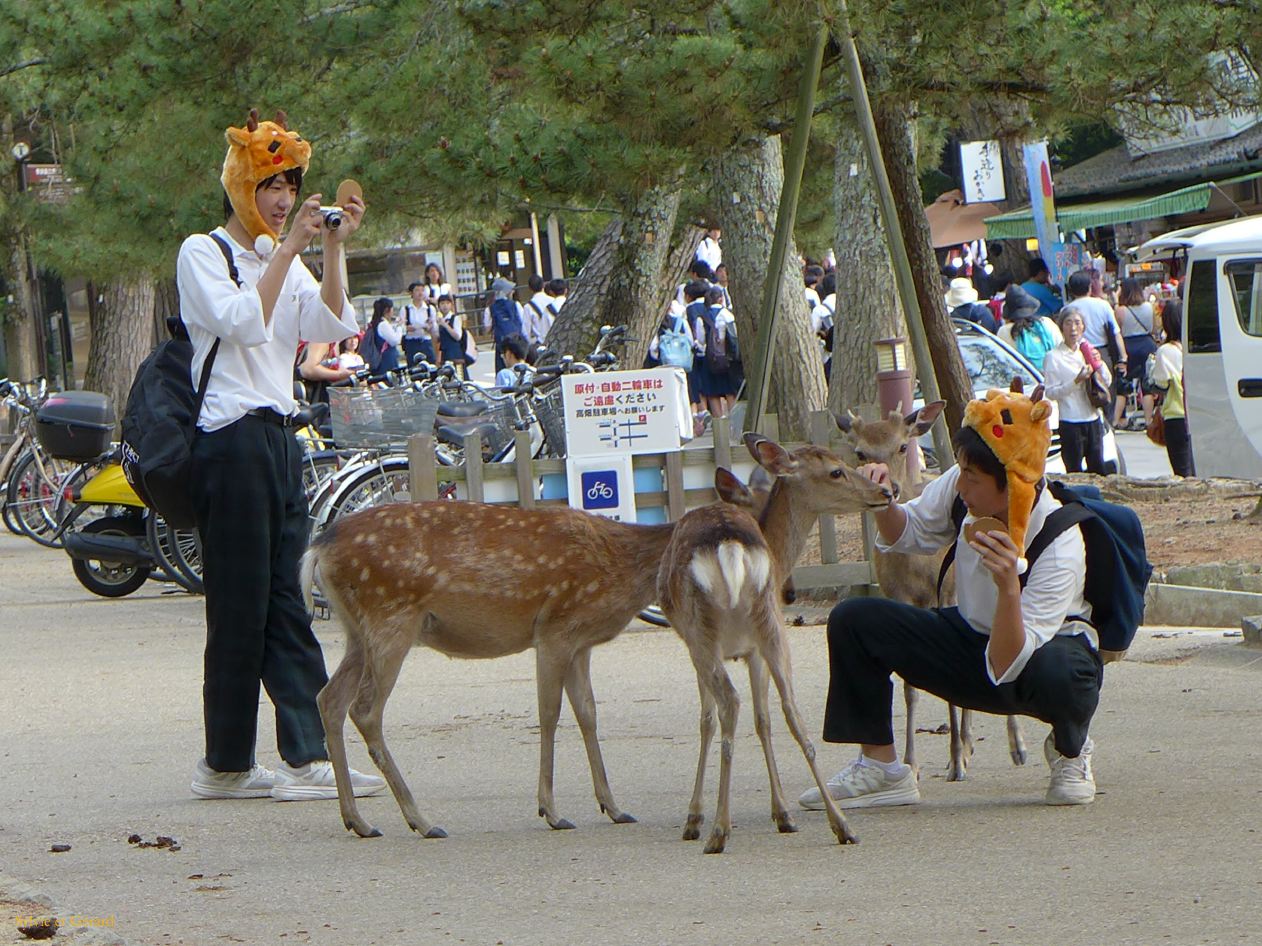 H Nara 3 le parc 