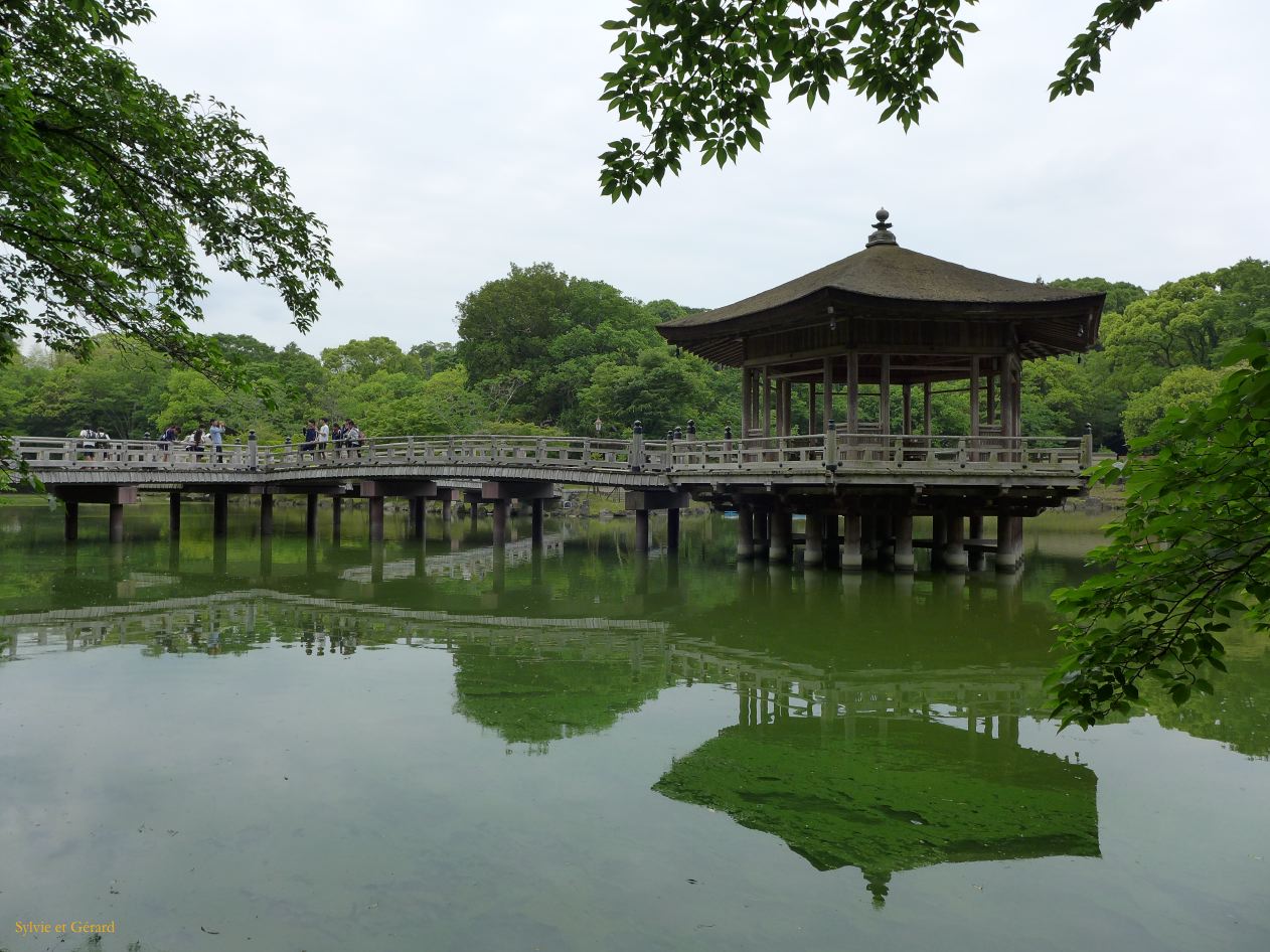 H Nara 29 Kasuga Taisha sanctuaire 