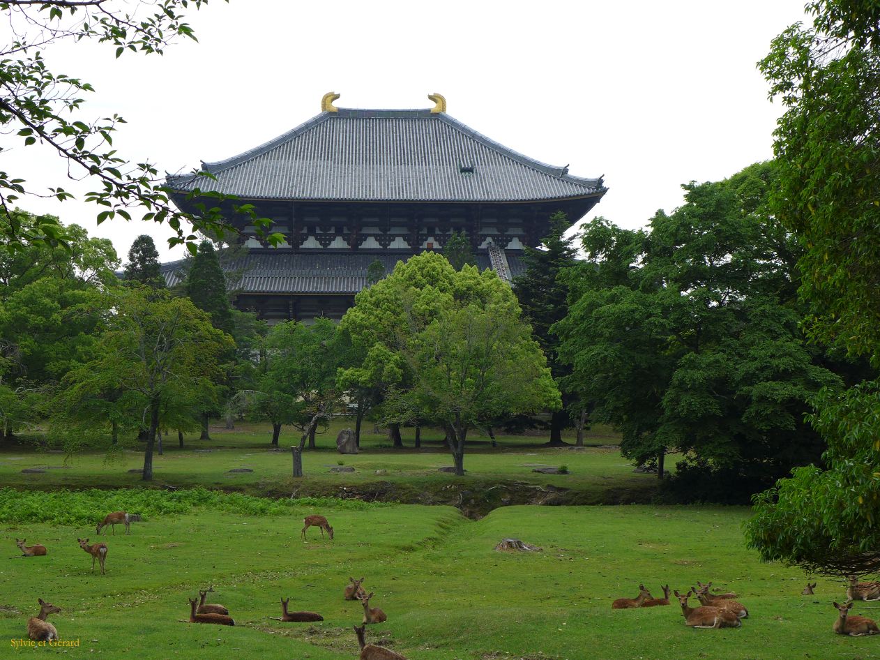 H Nara 36 Pavillon du Grand Bouddha 
