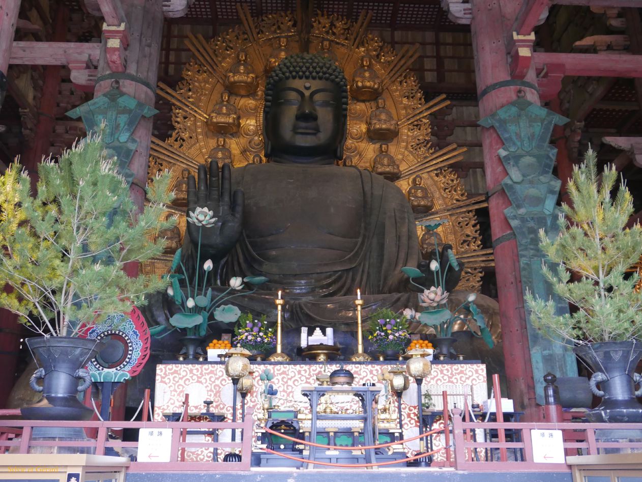 H Nara 38 Pavillon du Grand Bouddha