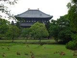H Nara 36 Pavillon du Grand Bouddha 