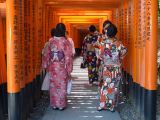 B Kyoto 7 Fushimi Inari Taisha Shrine 