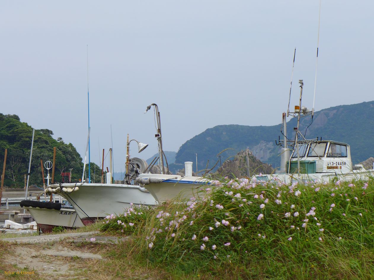 D Kushimoto 3 P