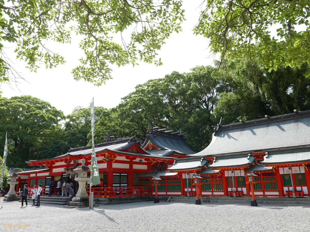 D Shingu 1 sanctuaire Kumano Hayatama Taisha