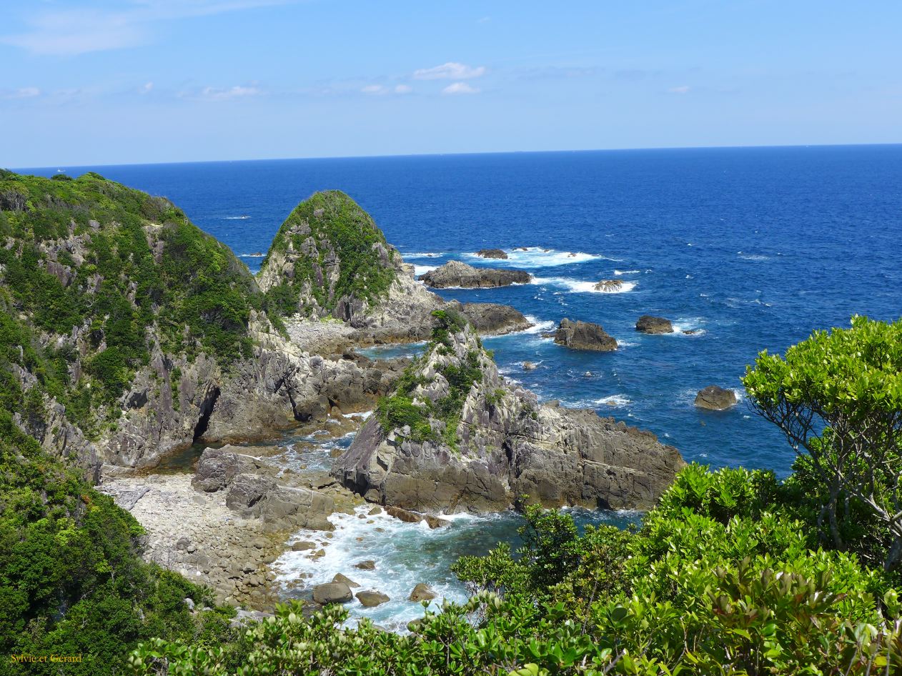 D Taiji 8 
