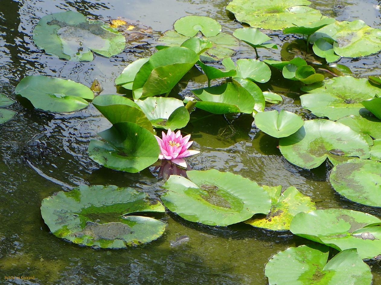 F Osaka Keitakuen garden 3 