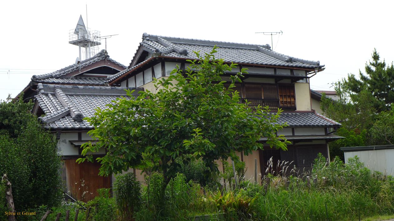 C Kii Tanabe 3 