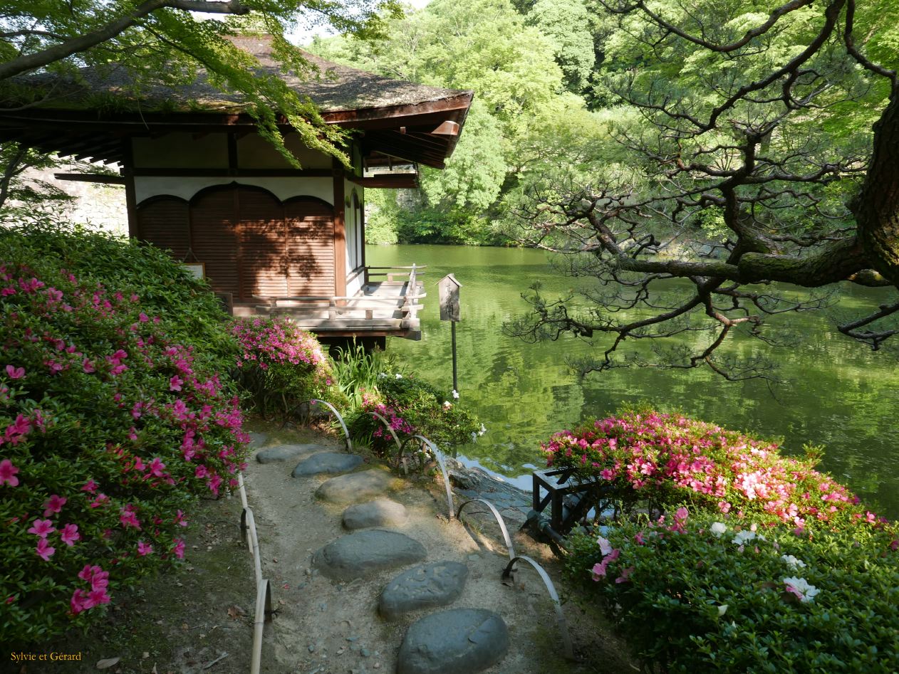 C Wakayama City le chateau 5 