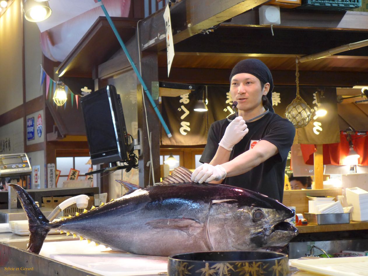 C Wakayama la Marina 3