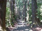 D Kumano Kodo Daimon zaka 2