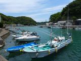 D Taiji 6 tristement célèbre pour la chasse aux dauphins