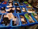 F Osaka Kurumon Market 1