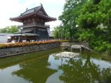 F Osaka temple Shi tenno-ji 4 l'étang aux tortues 