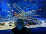 F Osaka vers l'Aquarium 4 crains dégun, moi