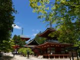 B Koyasan 8 Danjo Garan 