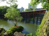 C Wakayama City le chateau 3 