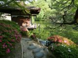 C Wakayama City le chateau 5 
