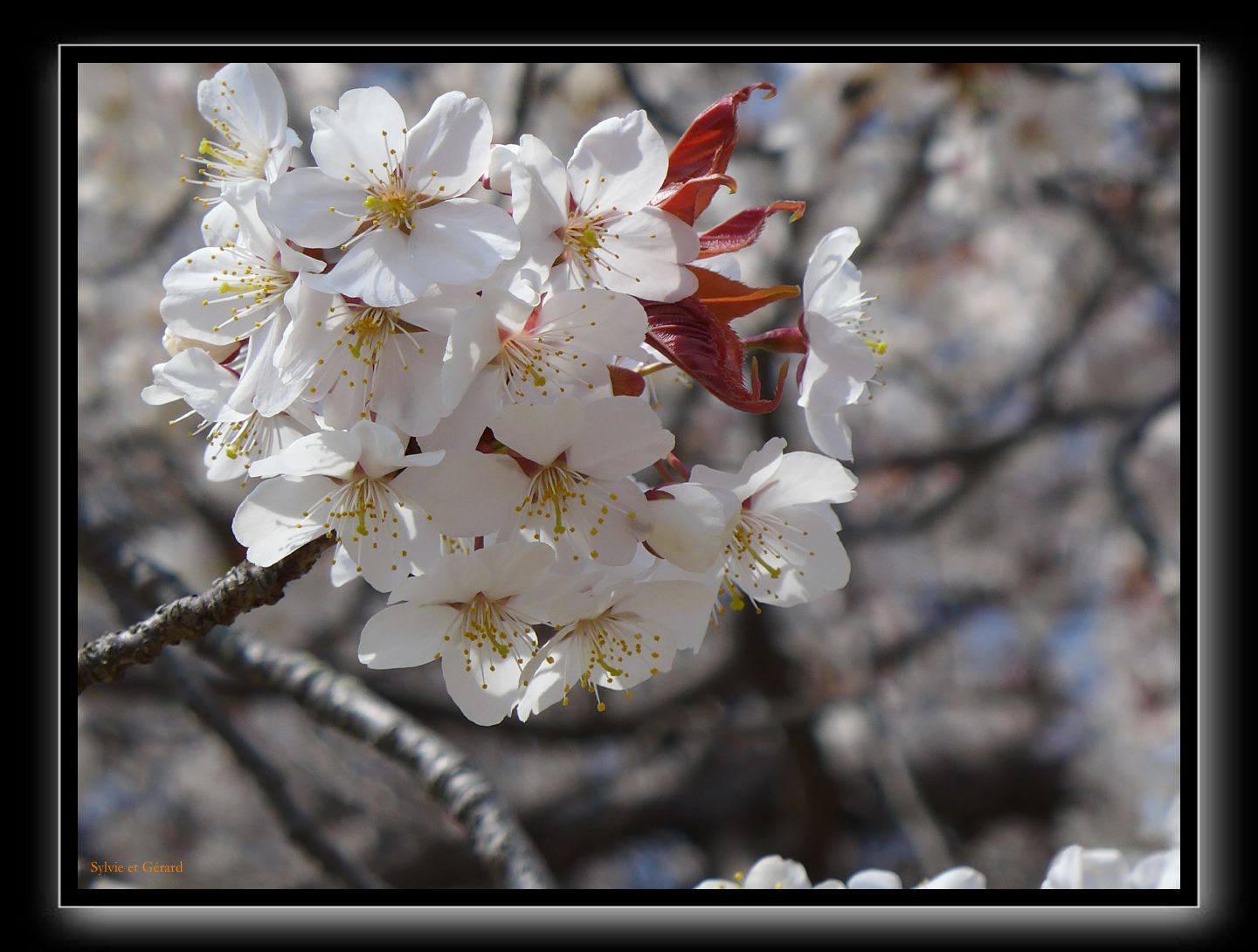 148 Himeji