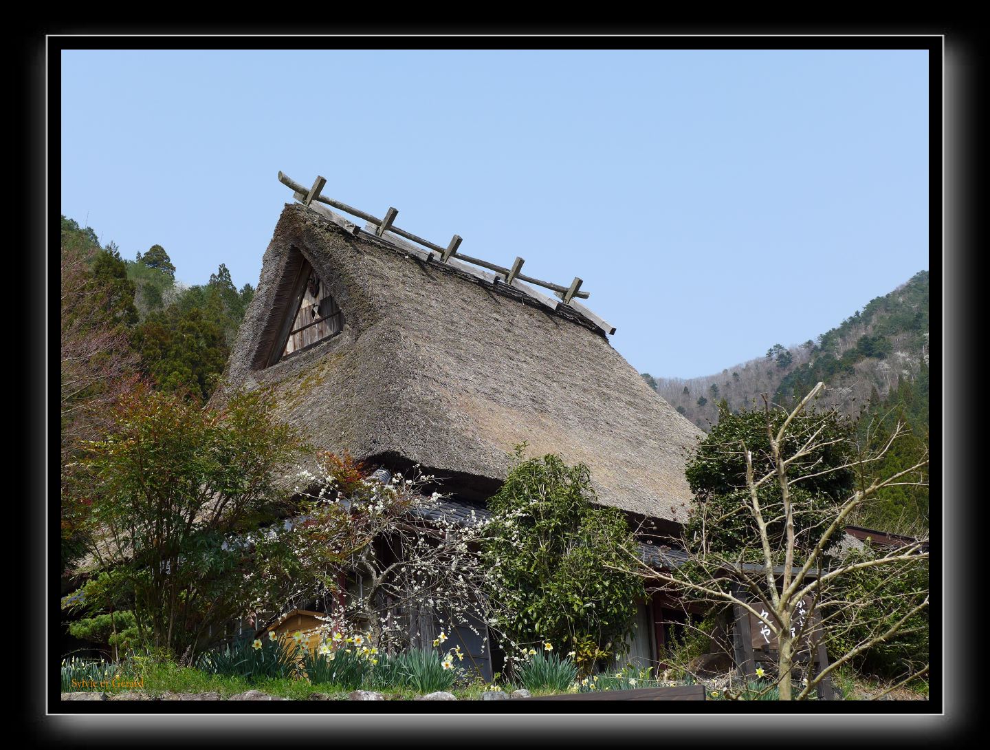 092 Miyama 