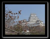 146 Himeji le héron blanc construit en 1609 l'un des 12 derniers châteaux en bois