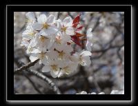 148 Himeji