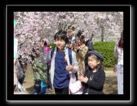 002 Osaka le chateau 