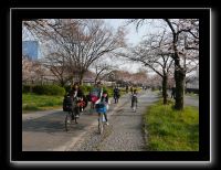 037 Osaka Parc Sakuranomiya