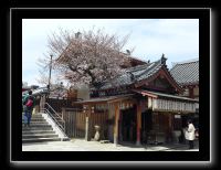 065 Osaka Shitenno-ji 
