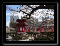 066 Osaka Shitenno-ji 