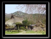 088 Miyama 