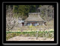 090 Miyama 