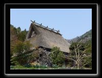 092 Miyama 