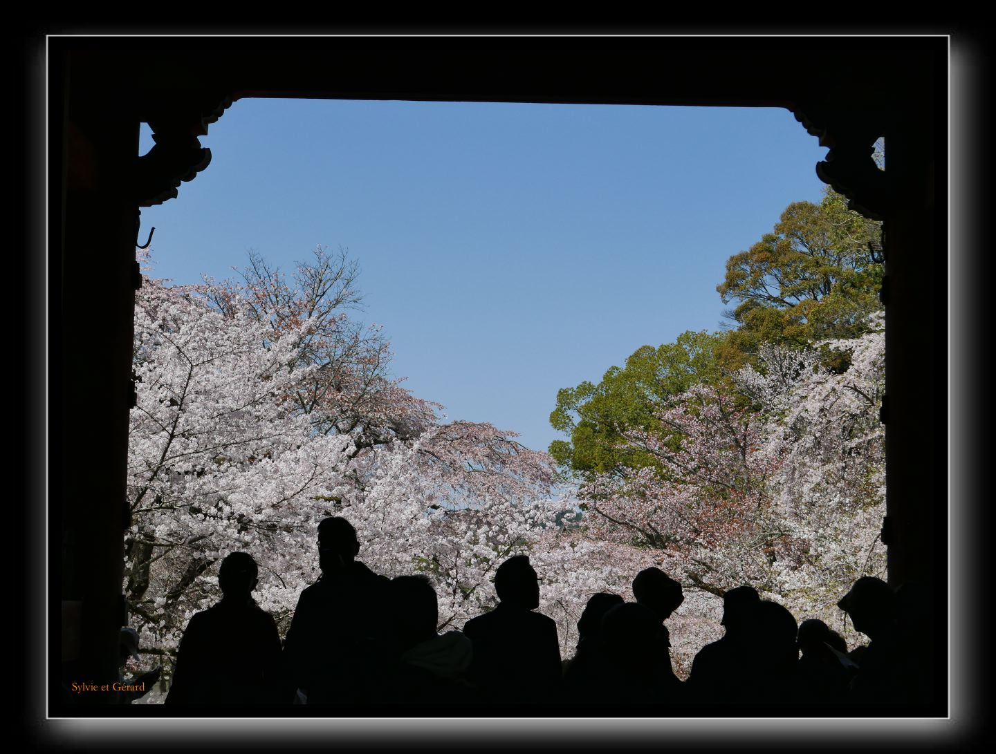 099 Kyoto Daigo-ji 