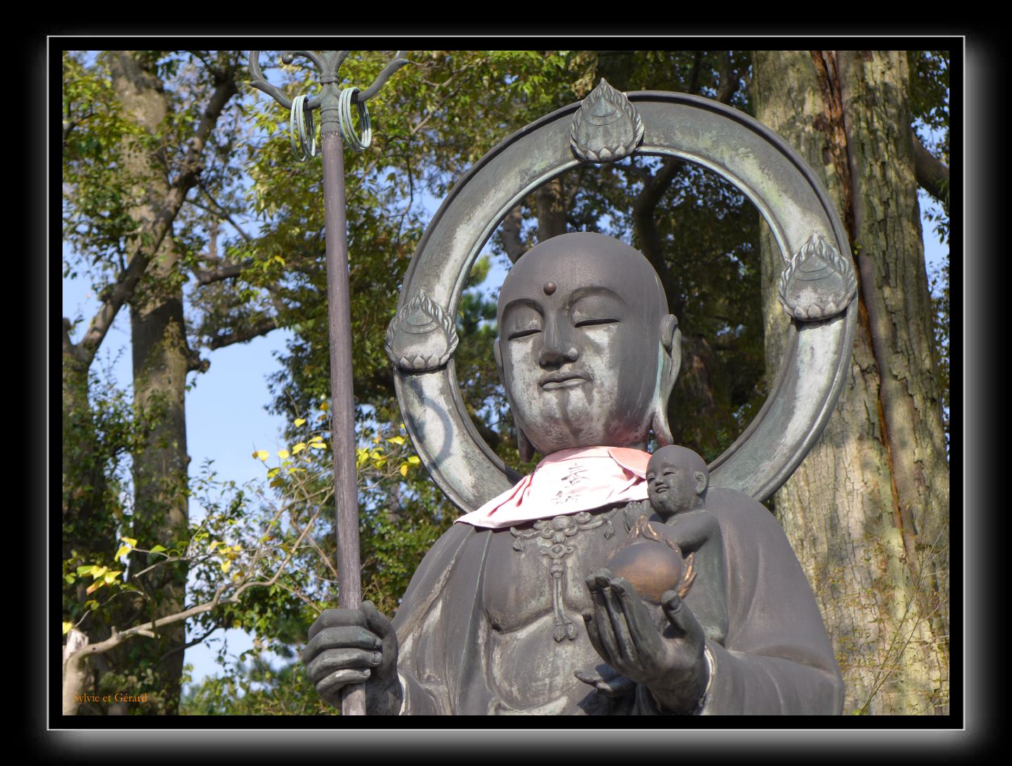 156 Kyoto Jardin Taizo-in Myoshin-ji  le haut