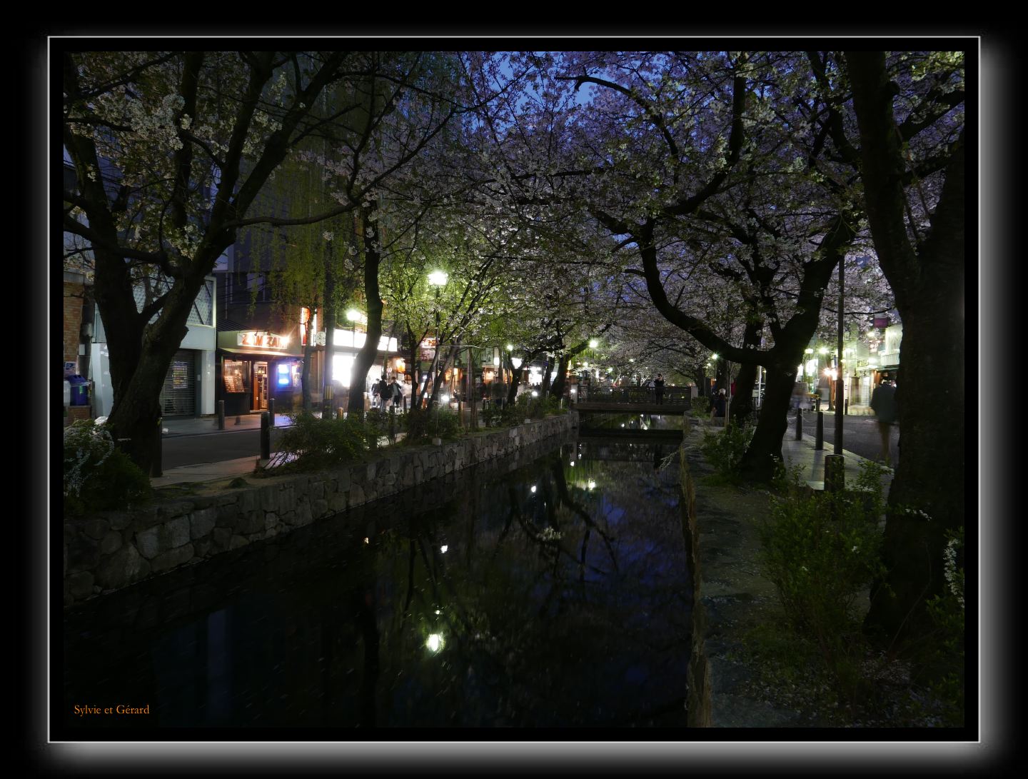 159 Kyoto Kiyamachi dori 