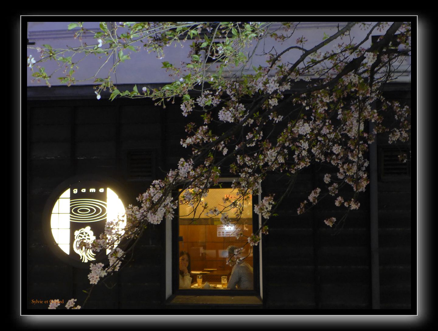 161 Kyoto Kiyamachi dori 