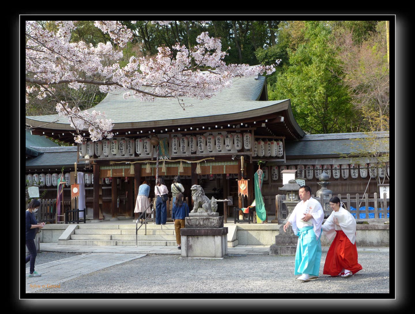 195 Kyoto Kumano Nyakuoji 