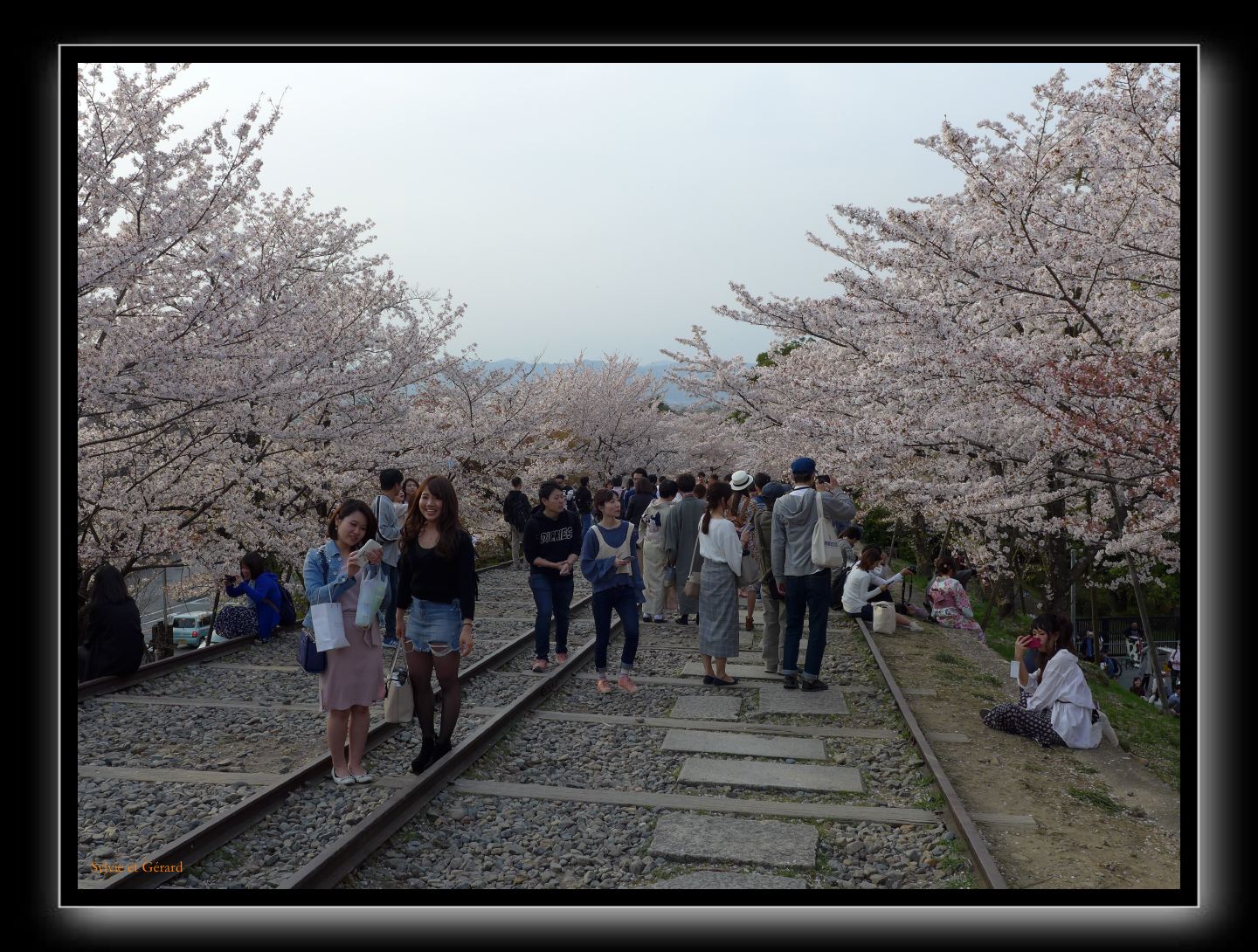 202 Kyoto l'aqueduc et le réservoir 