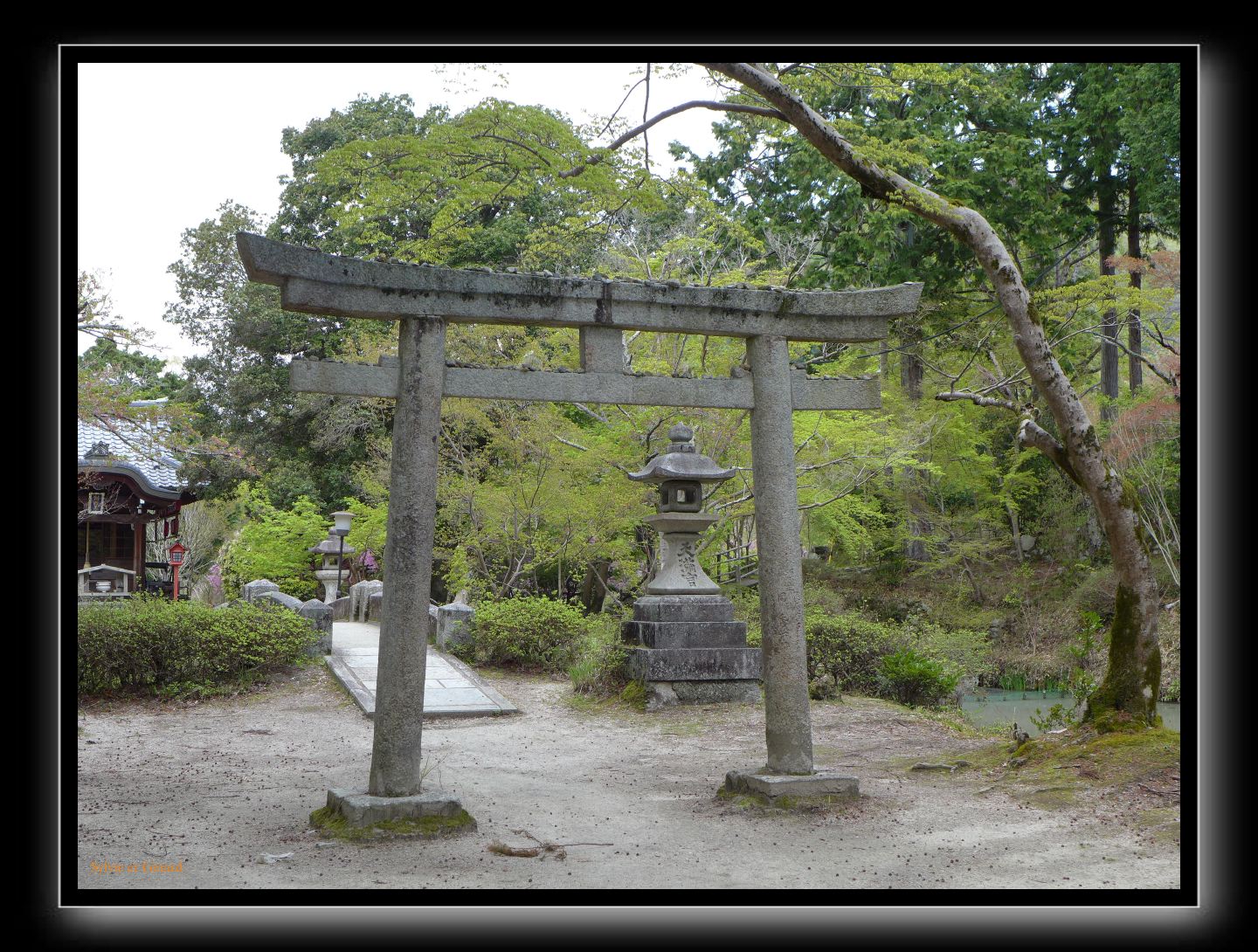 208 Kyoto Manshu-in 