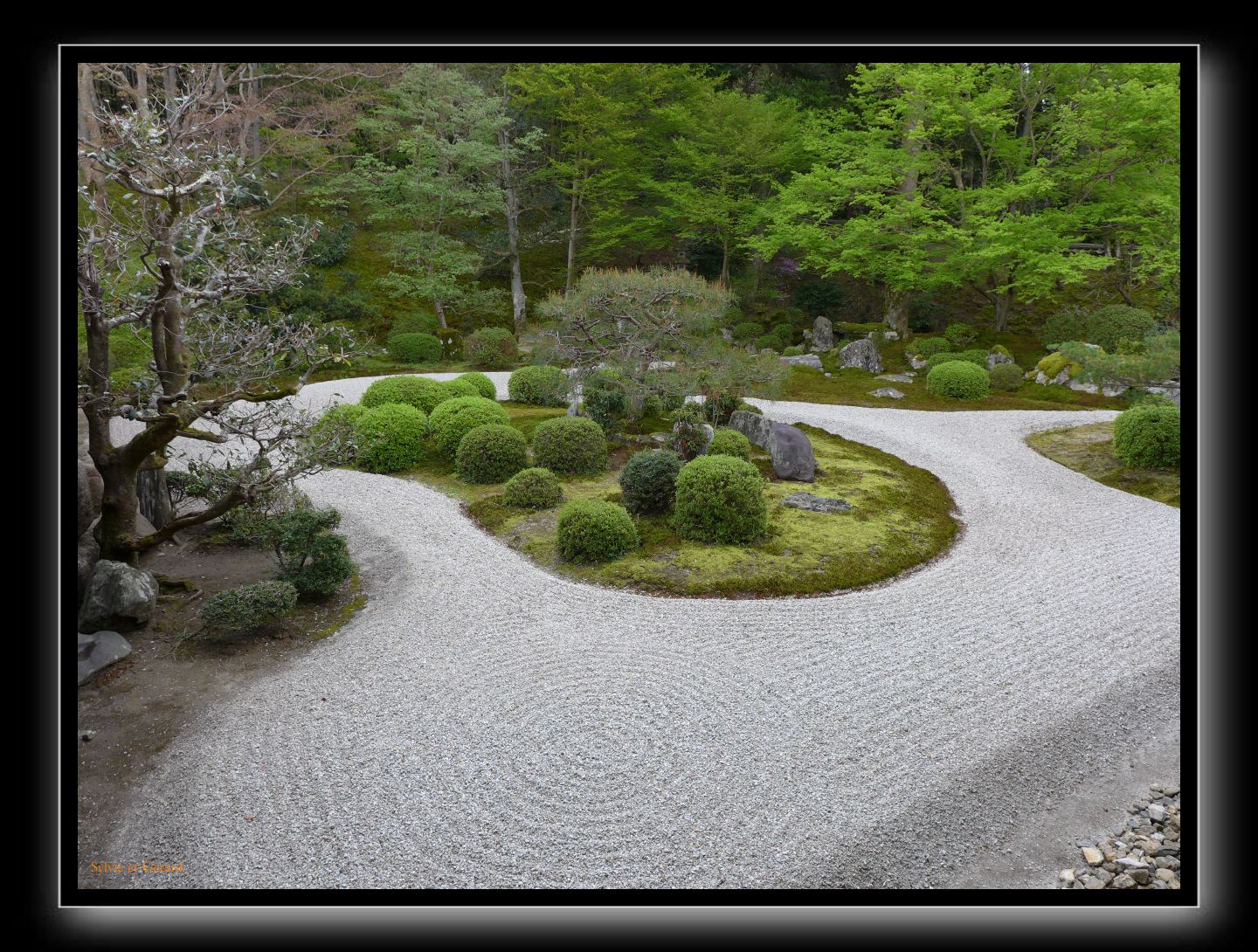 210 Kyoto Manshu-in 