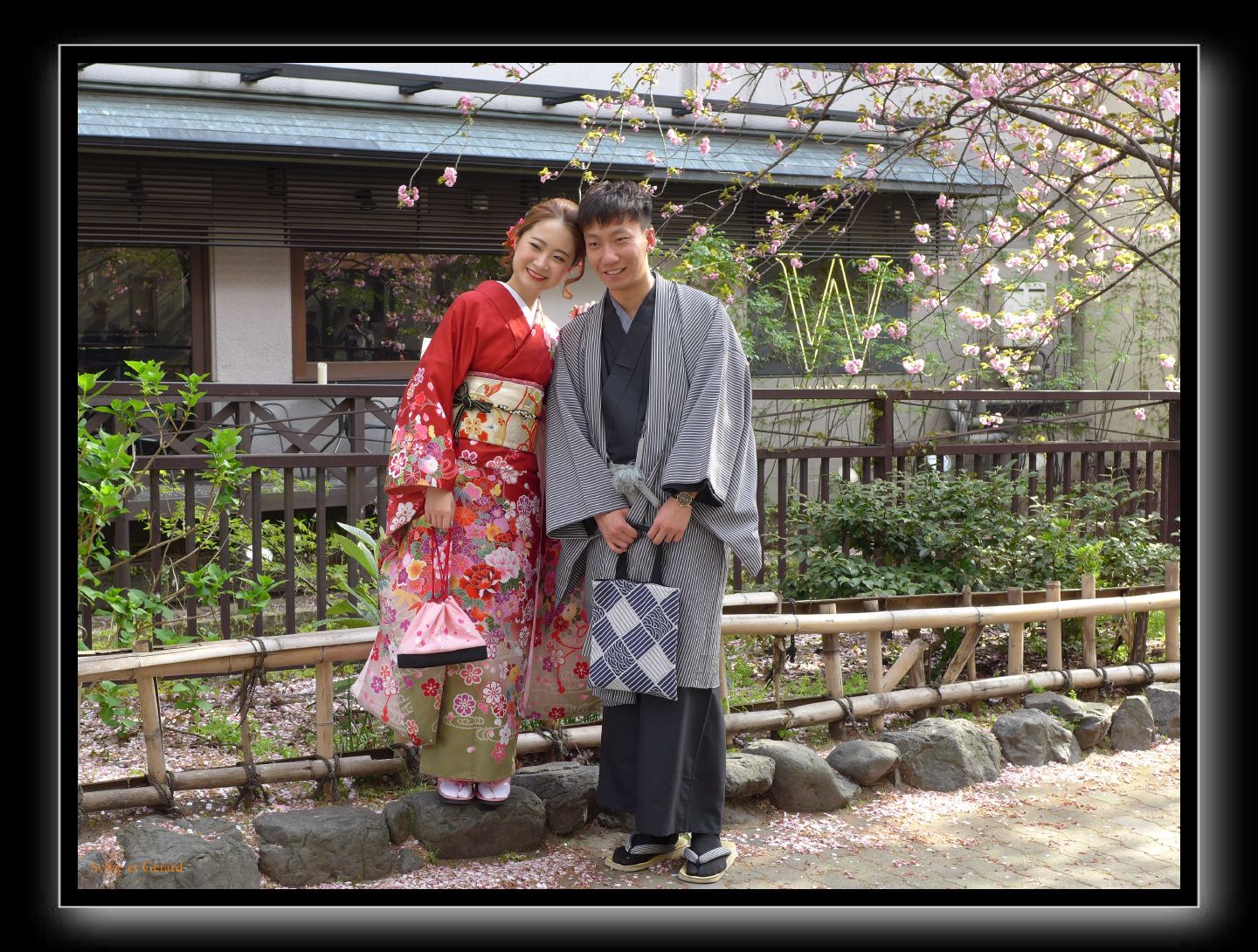 238 Kyoto Shrirakawa Minami Dori 