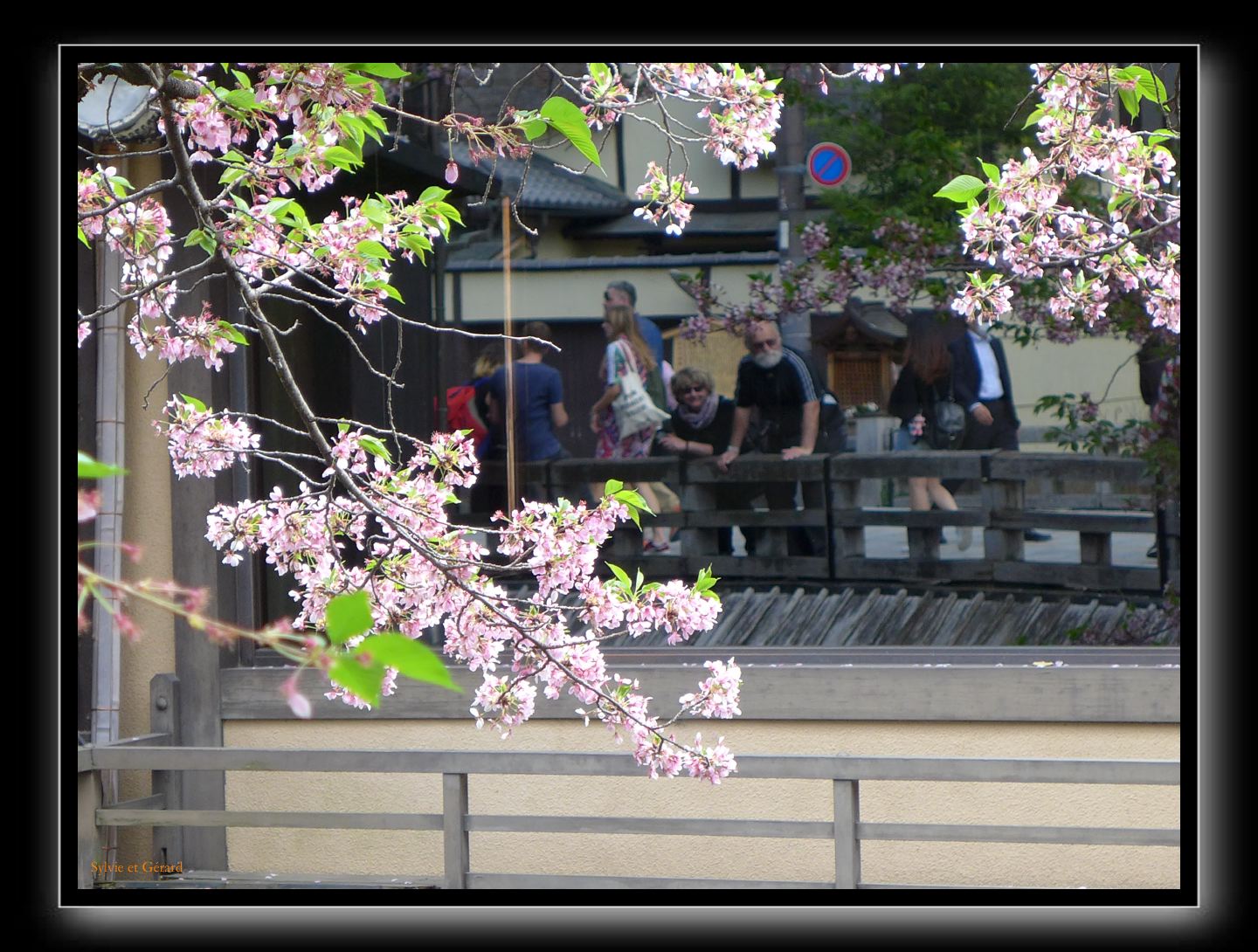 241 Kyoto Shrirakawa Minami Dori 