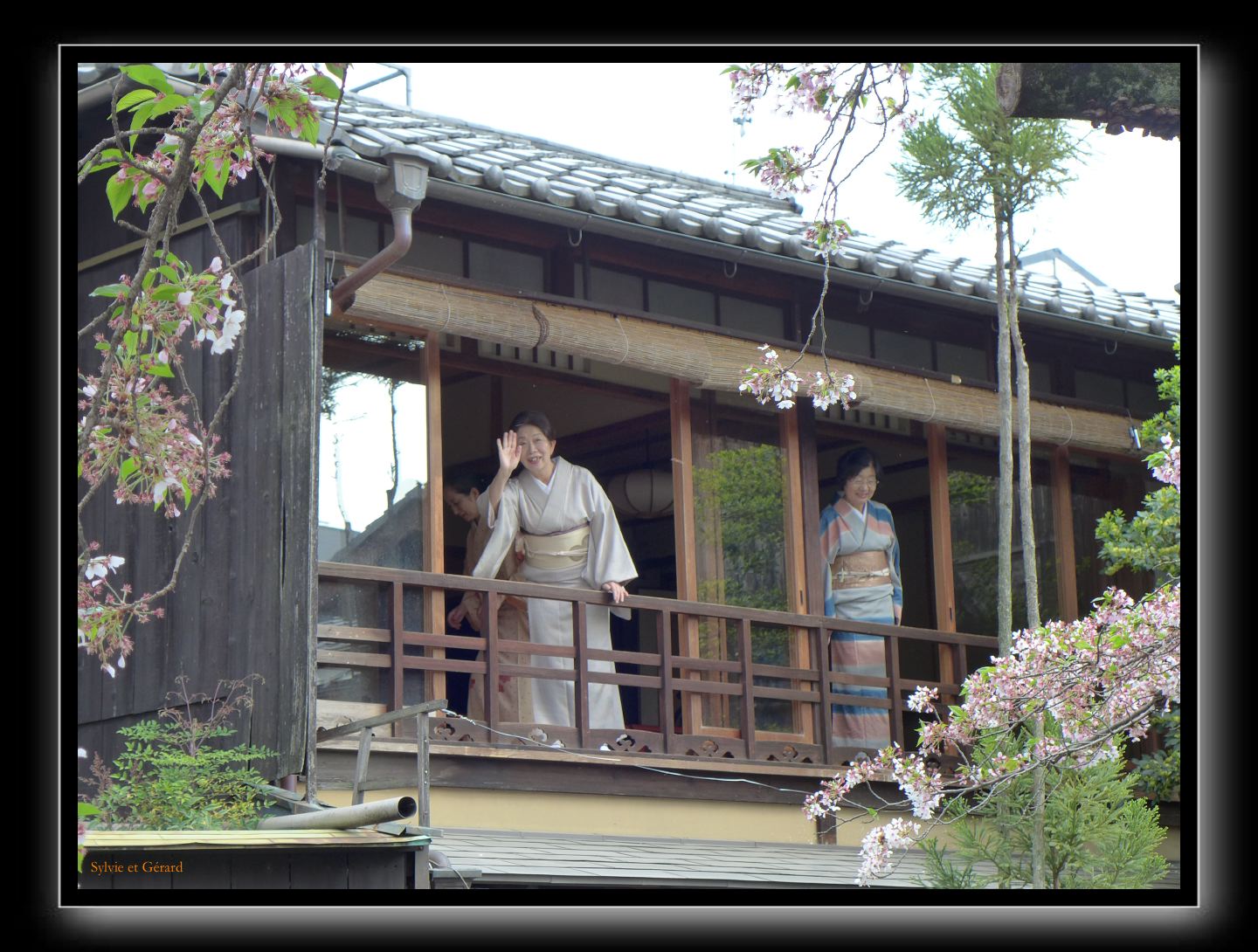 244 Kyoto Shrirakawa Minami Dori 