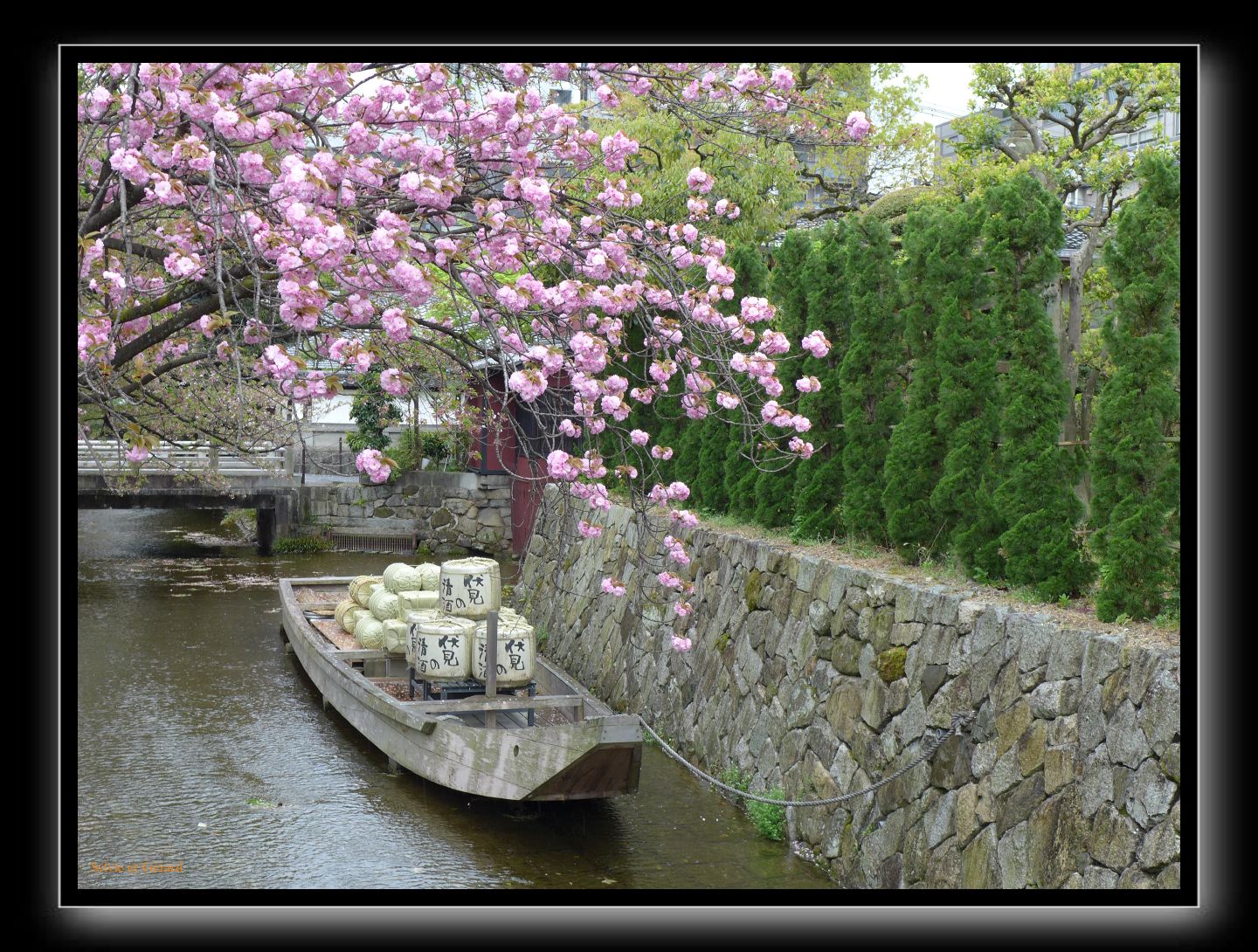 245 Kyoto Takase River