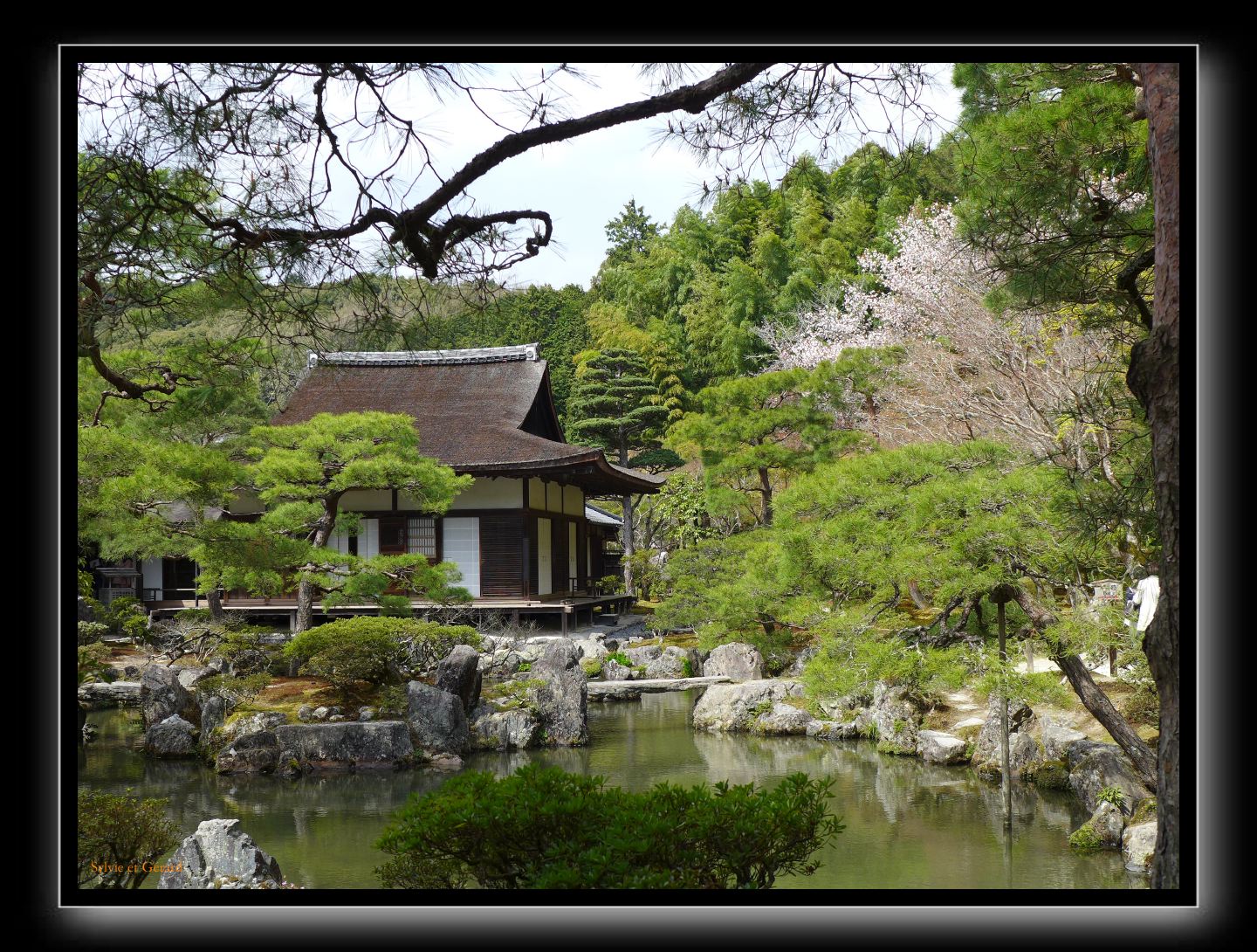 247 Kyoto Temple d'Argent 